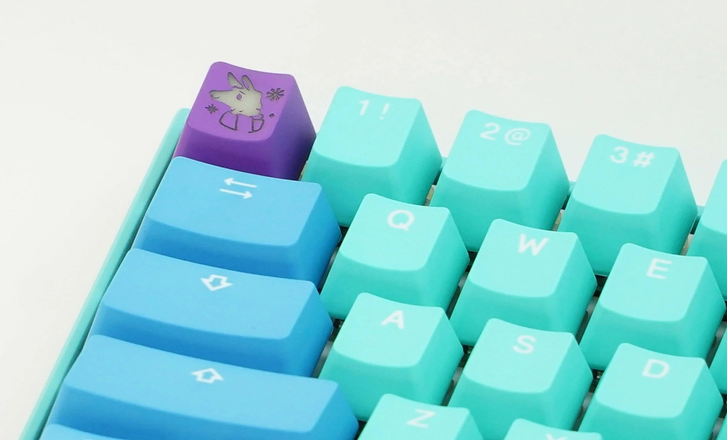 Ducky x MK Frozen Llama Mecha Mini v2 RGB LED 60% Double Shot PBT Mechanical Keyboard - Image 13