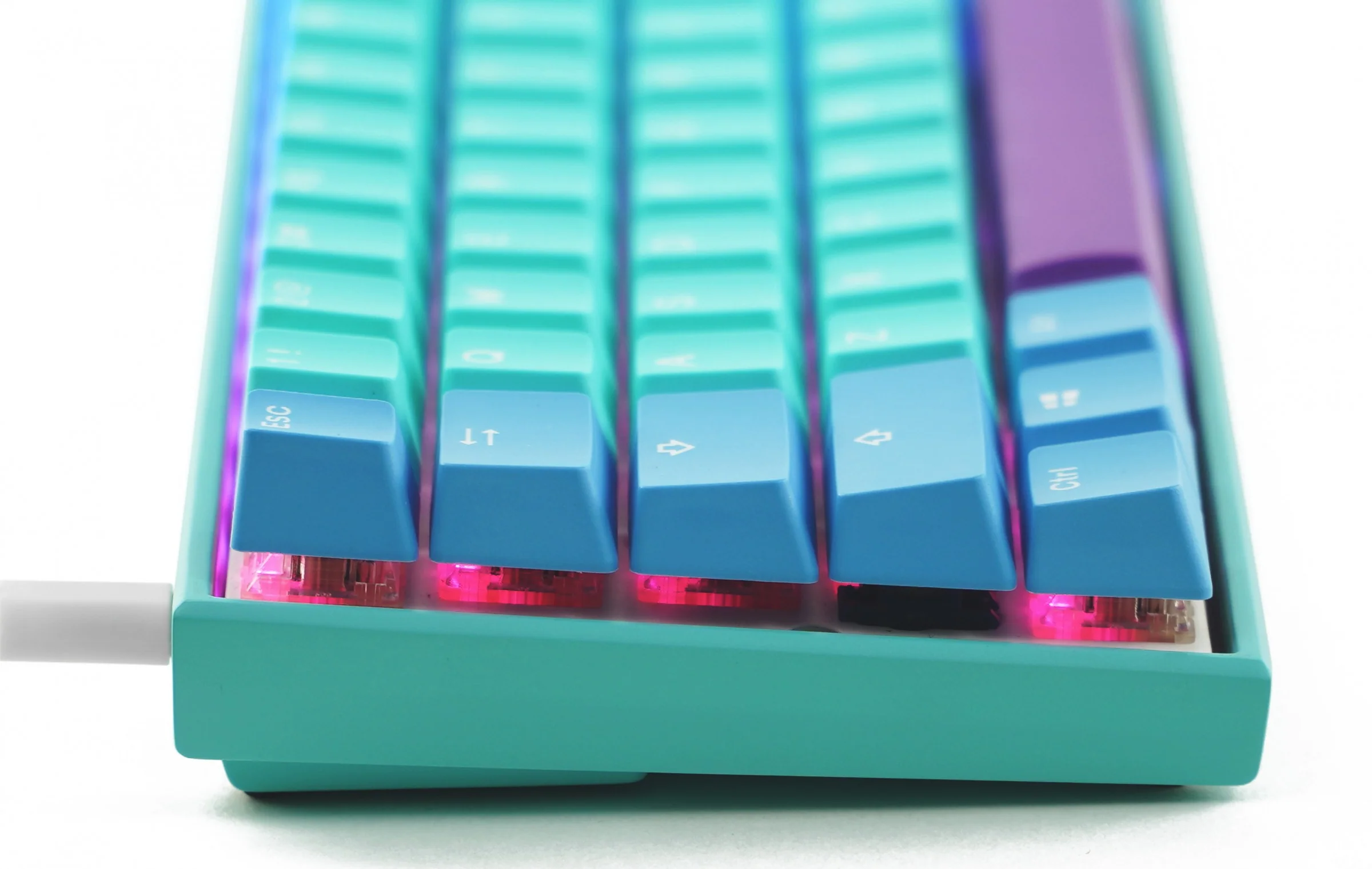 Ducky x MK Frozen Llama Mecha Mini v2 RGB LED 60% Double Shot PBT Mechanical Keyboard - Image 5