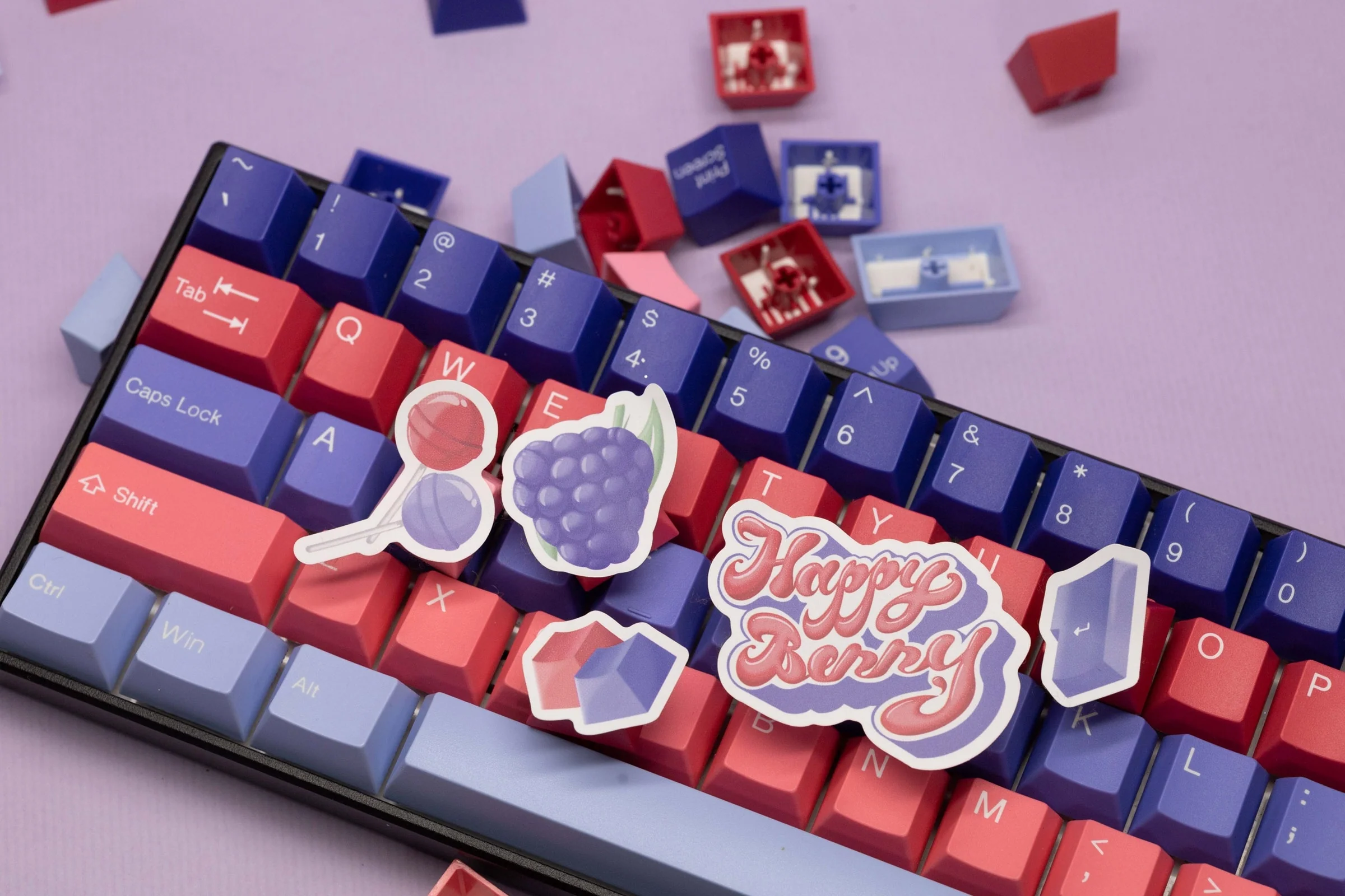 Tai-Hao Blueberry & Strawberry 308 Key Cubic Profile ABS Double Shot Keycap Set - Image 3